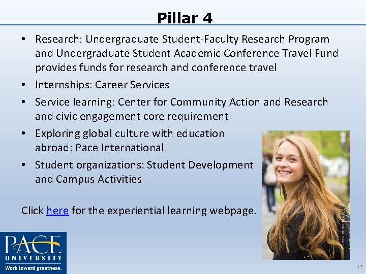 Pillar 4 • Research: Undergraduate Student-Faculty Research Program and Undergraduate Student Academic Conference Travel