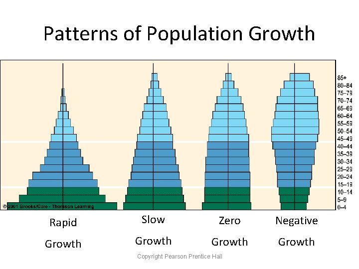 Patterns of Population Growth Rapid Slow Zero Negative Growth Copyright Pearson Prentice Hall 