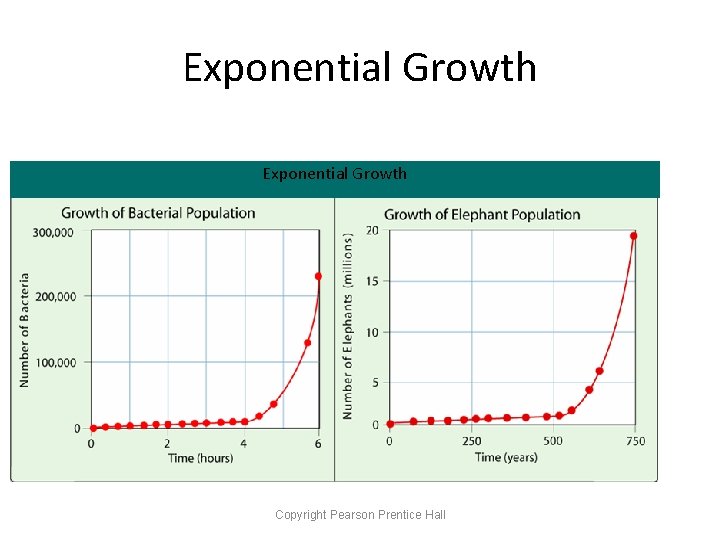 Exponential Growth Copyright Pearson Prentice Hall 