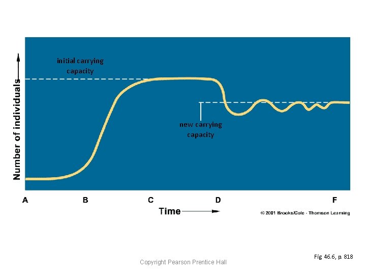 initial carrying capacity new carrying capacity Copyright Pearson Prentice Hall Fig. 46. 6, p.