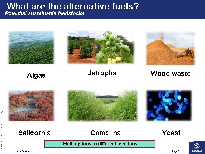 What are the alternative fuels? Potential sustainable feedstocks © AIRBUS S. All rights reserved.