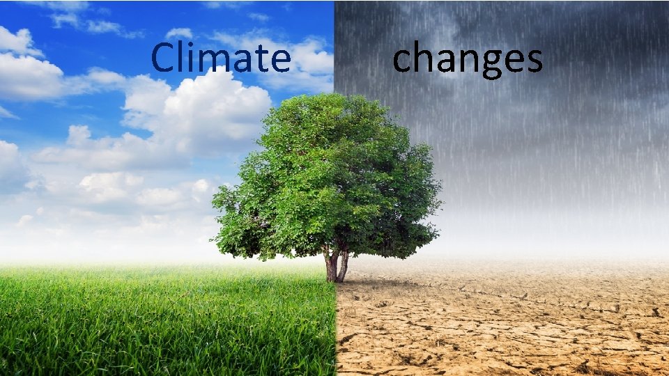 Climate changes 
