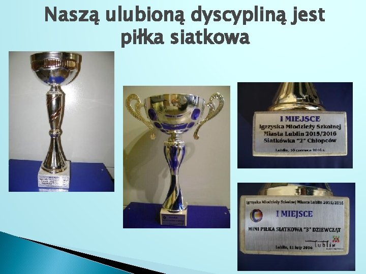 Naszą ulubioną dyscypliną jest piłka siatkowa 