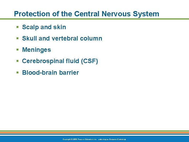 Protection of the Central Nervous System § Scalp and skin § Skull and vertebral