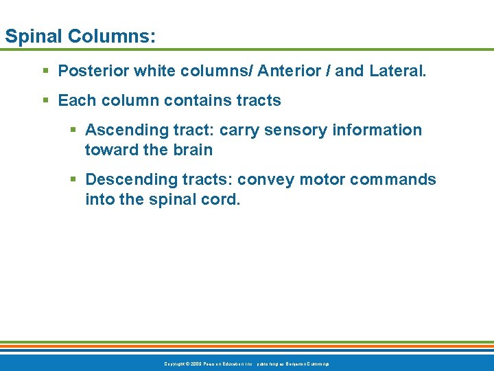 Spinal Columns: § Posterior white columns/ Anterior / and Lateral. § Each column contains