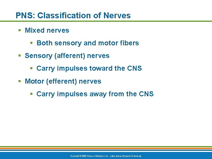 PNS: Classification of Nerves § Mixed nerves § Both sensory and motor fibers §