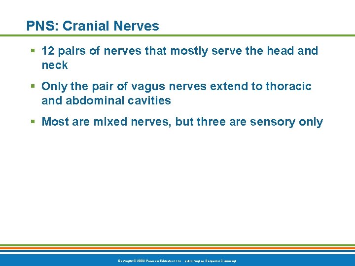 PNS: Cranial Nerves § 12 pairs of nerves that mostly serve the head and