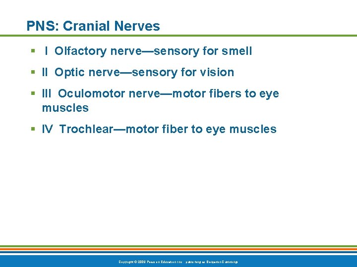 PNS: Cranial Nerves § I Olfactory nerve—sensory for smell § II Optic nerve—sensory for