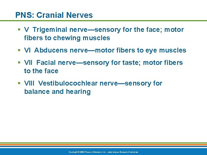 PNS: Cranial Nerves § V Trigeminal nerve—sensory for the face; motor fibers to chewing