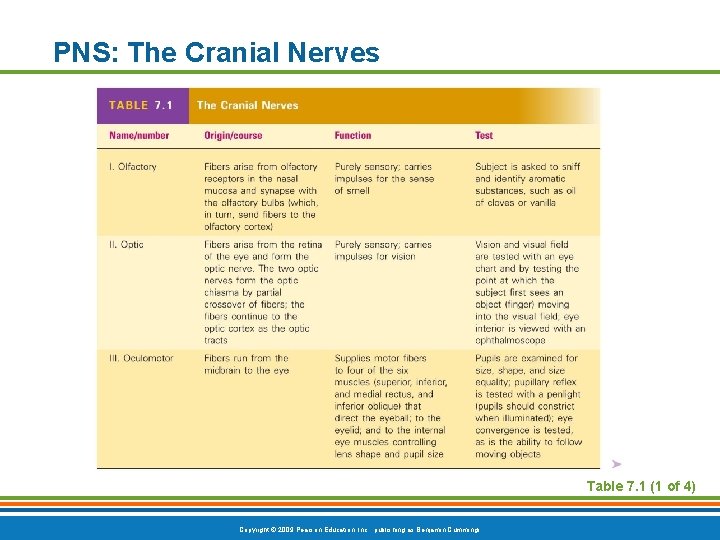 PNS: The Cranial Nerves Table 7. 1 (1 of 4) Copyright © 2009 Pearson