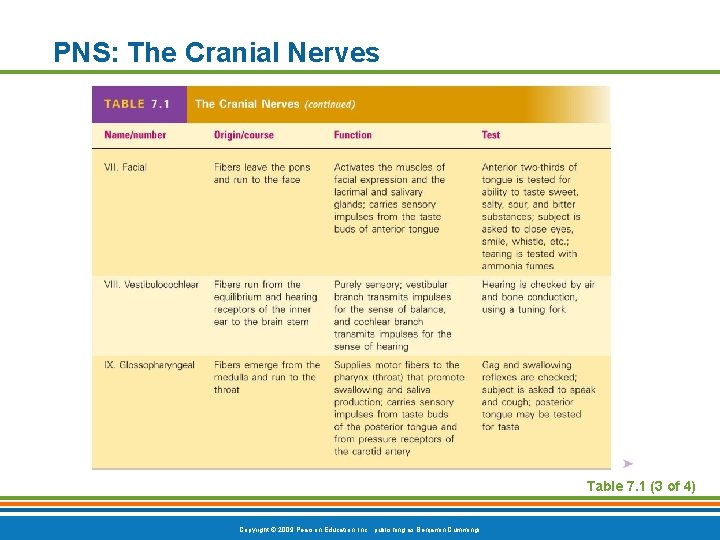 PNS: The Cranial Nerves Table 7. 1 (3 of 4) Copyright © 2009 Pearson