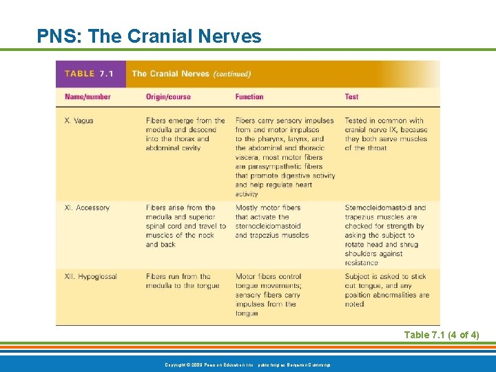 PNS: The Cranial Nerves Table 7. 1 (4 of 4) Copyright © 2009 Pearson