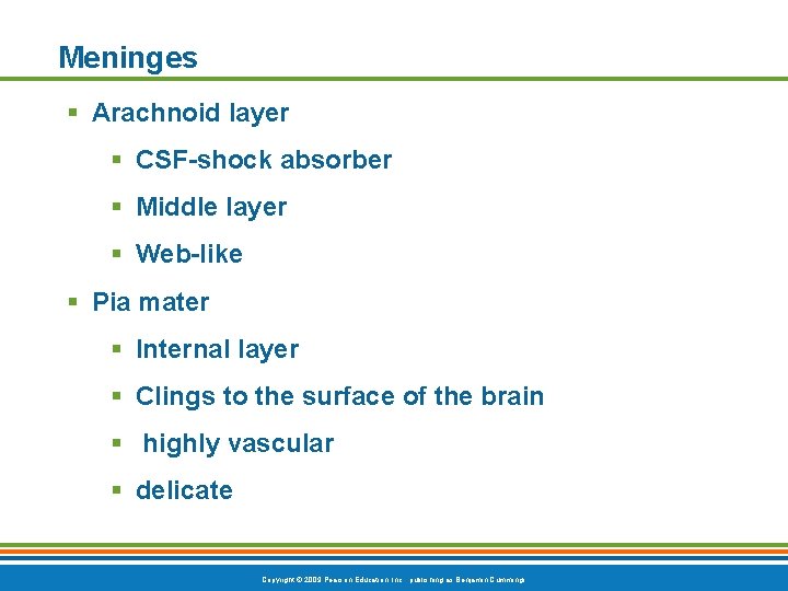 Meninges § Arachnoid layer § CSF-shock absorber § Middle layer § Web-like § Pia