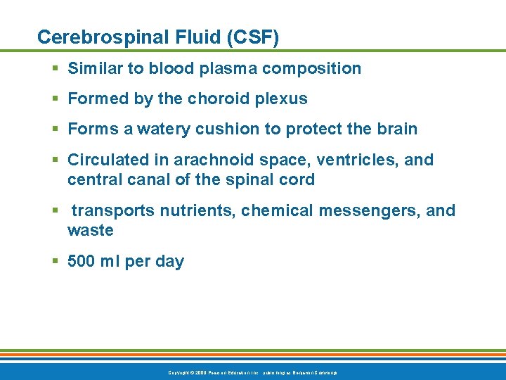 Cerebrospinal Fluid (CSF) § Similar to blood plasma composition § Formed by the choroid