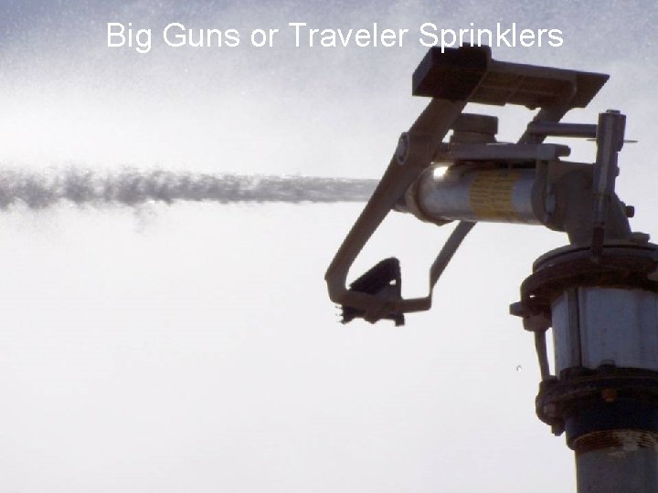 Big Guns or Traveler Sprinklers 