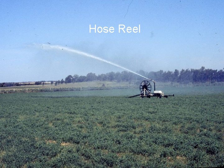 Hose Reel 