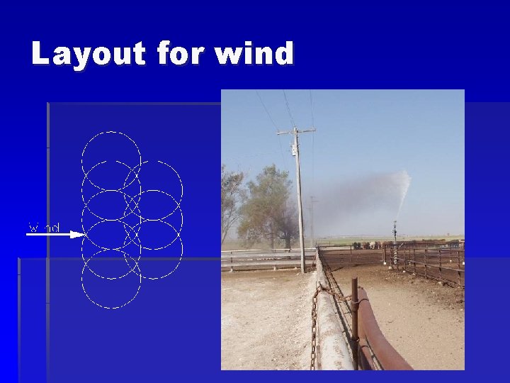 Layout for wind 