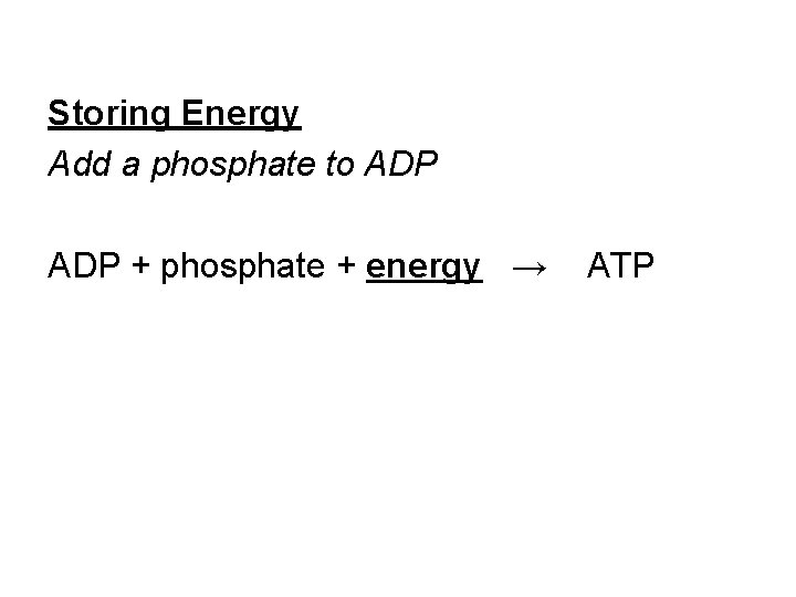 Storing Energy Add a phosphate to ADP + phosphate + energy → ATP 