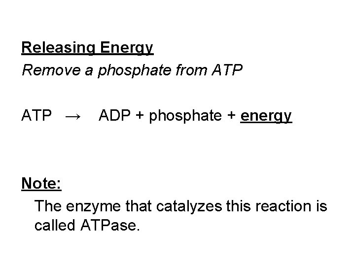 Releasing Energy Remove a phosphate from ATP → ADP + phosphate + energy Note: