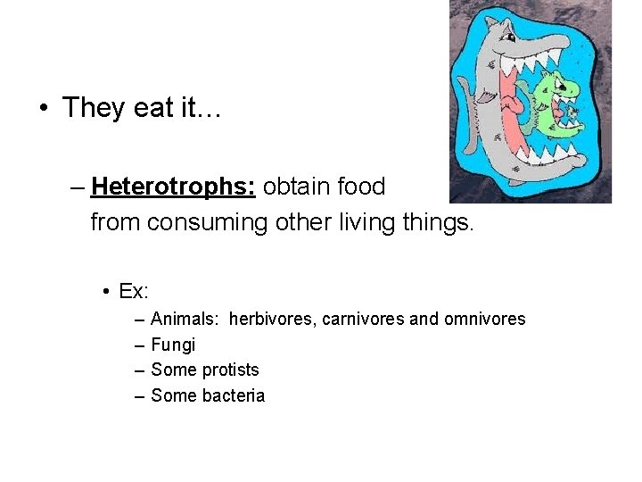  • They eat it… – Heterotrophs: obtain food from consuming other living things.