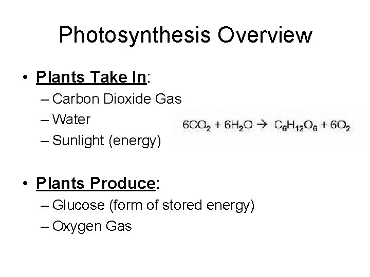 Photosynthesis Overview • Plants Take In: – Carbon Dioxide Gas – Water – Sunlight
