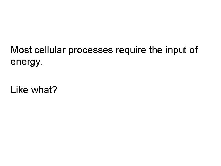 Most cellular processes require the input of energy. Like what? 