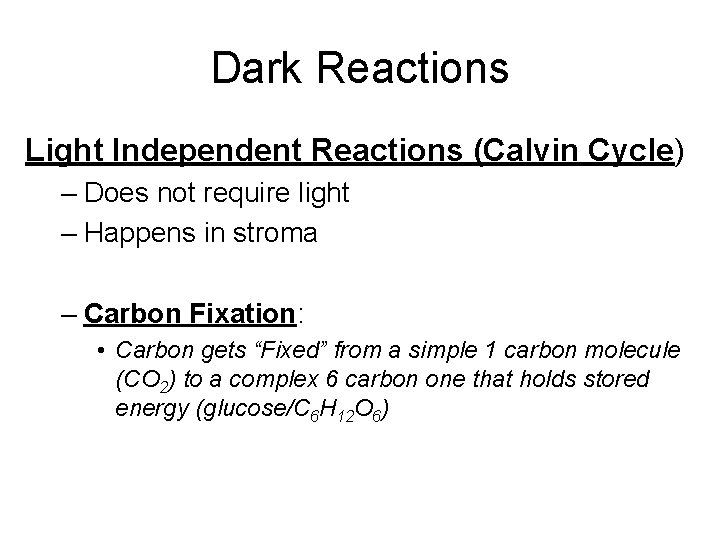 Dark Reactions Light Independent Reactions (Calvin Cycle) – Does not require light – Happens