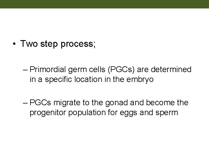  • Two step process; – Primordial germ cells (PGCs) are determined in a