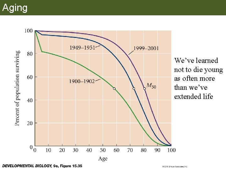 Aging We’ve learned not to die young as often more than we’ve extended life