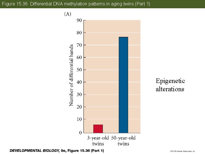 Figure 15. 36 Differential DNA methylation patterns in aging twins (Part 1) Epigenetic alterations