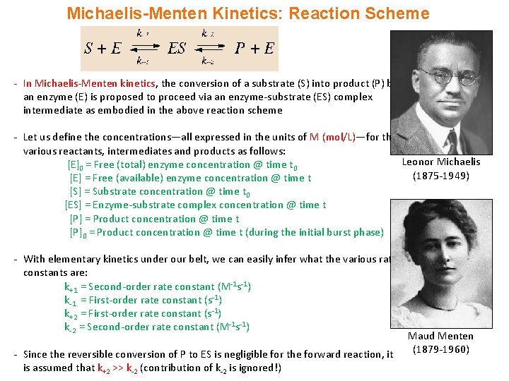 Michaelis-Menten Kinetics: Reaction Scheme - In Michaelis-Menten kinetics, the conversion of a substrate (S)