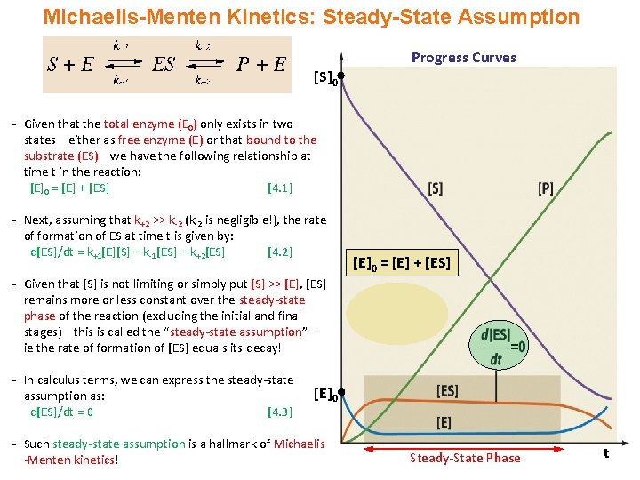 Michaelis-Menten Kinetics: Steady-State Assumption Progress Curves [S]0 - Given that the total enzyme (E