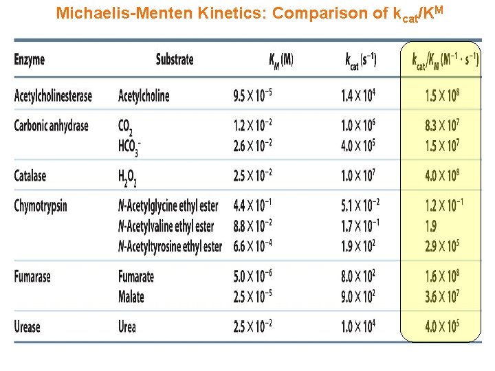 Michaelis-Menten Kinetics: Comparison of kcat/KM 