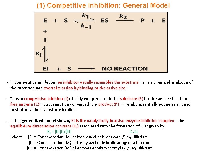 (1) Competitive Inhibition: General Model - In competitive inhibition, an inhibitor usually resembles the