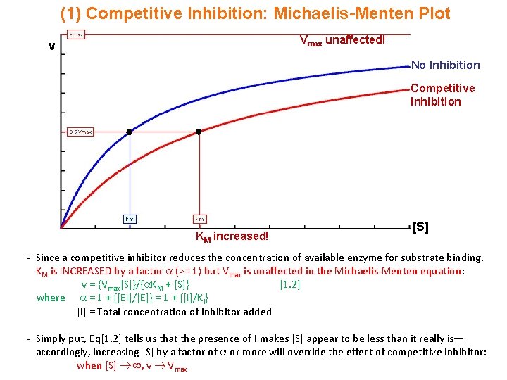 (1) Competitive Inhibition: Michaelis-Menten Plot Vmax unaffected! v No Inhibition Competitive Inhibition KM increased!