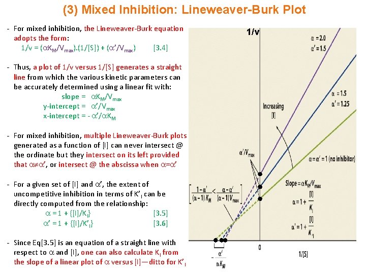 (3) Mixed Inhibition: Lineweaver-Burk Plot - For mixed inhibition, the Lineweaver-Burk equation adopts the