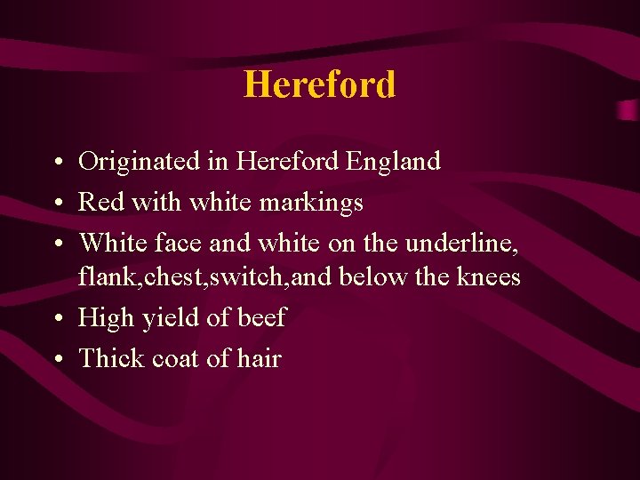 Hereford • Originated in Hereford England • Red with white markings • White face