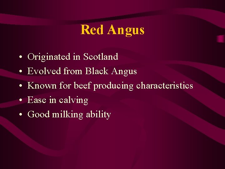 Red Angus • • • Originated in Scotland Evolved from Black Angus Known for