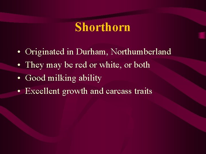 Shorthorn • • Originated in Durham, Northumberland They may be red or white, or