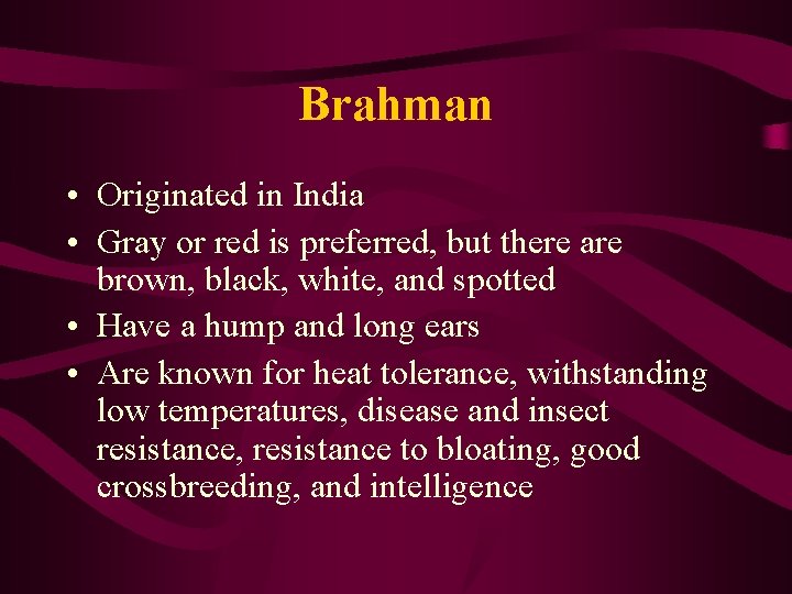 Brahman • Originated in India • Gray or red is preferred, but there are