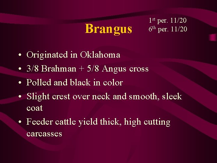 Brangus • • 1 st per. 11/20 6 th per. 11/20 Originated in Oklahoma