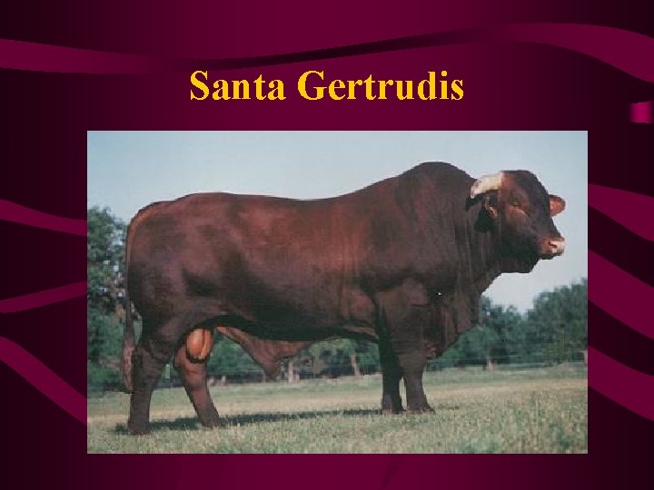 Santa Gertrudis 