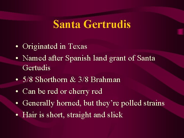 Santa Gertrudis • Originated in Texas • Named after Spanish land grant of Santa