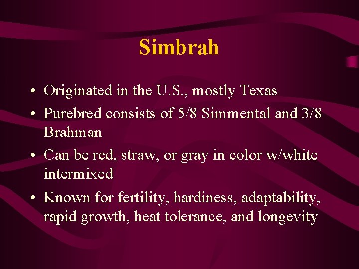 Simbrah • Originated in the U. S. , mostly Texas • Purebred consists of