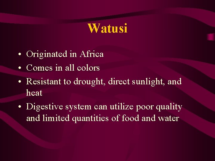Watusi • Originated in Africa • Comes in all colors • Resistant to drought,