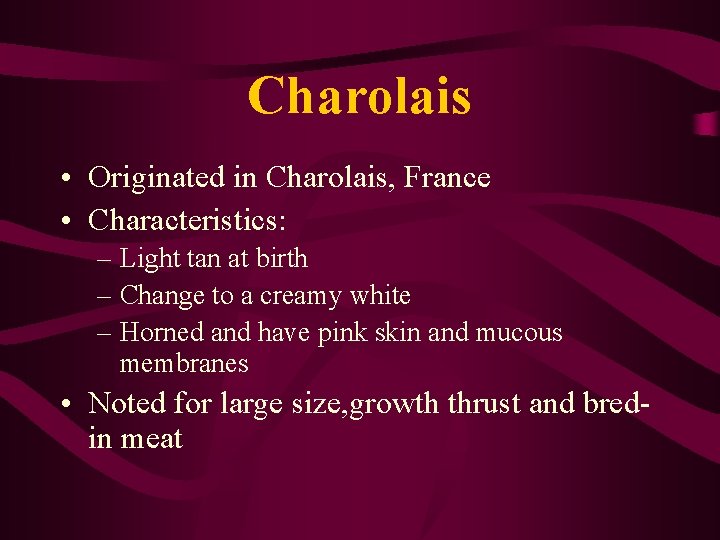 Charolais • Originated in Charolais, France • Characteristics: – Light tan at birth –