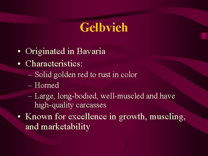 Gelbvieh • Originated in Bavaria • Characteristics: – Solid golden red to rust in