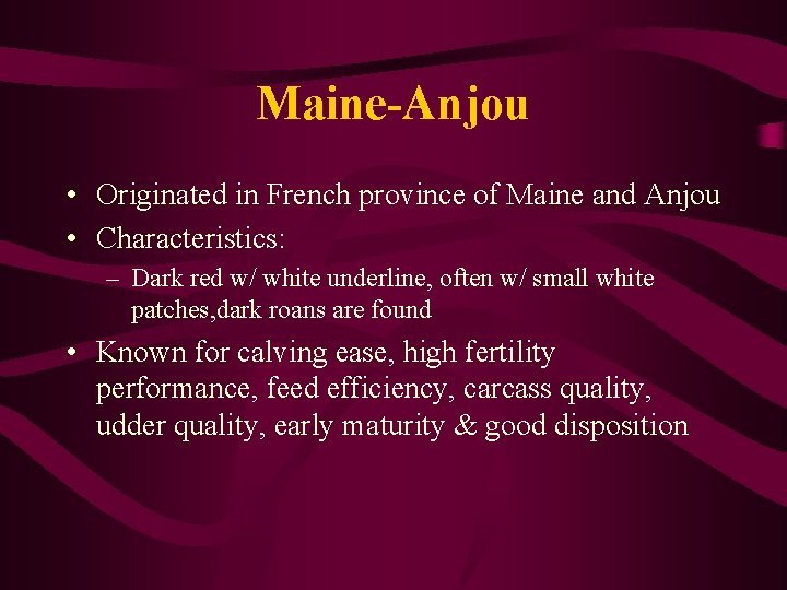 Maine-Anjou • Originated in French province of Maine and Anjou • Characteristics: – Dark