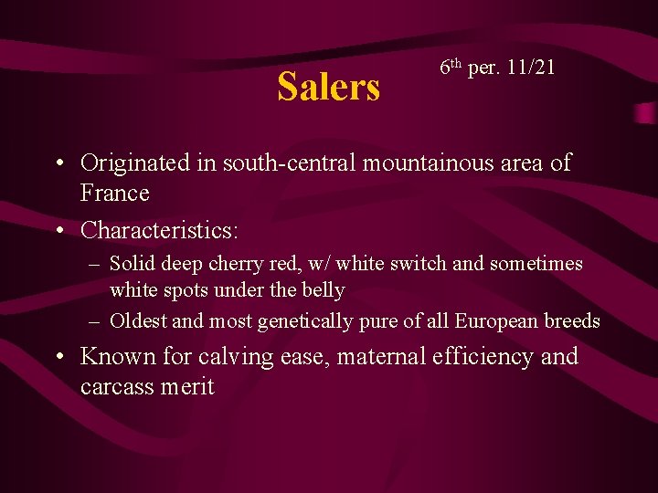 Salers 6 th per. 11/21 • Originated in south-central mountainous area of France •