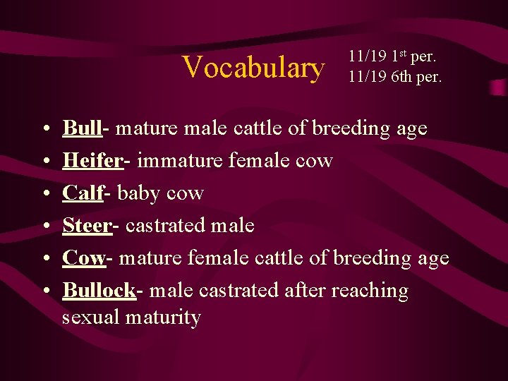 Vocabulary • • • 11/19 1 st per. 11/19 6 th per. Bull- mature